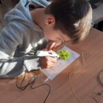 received_537053591801599